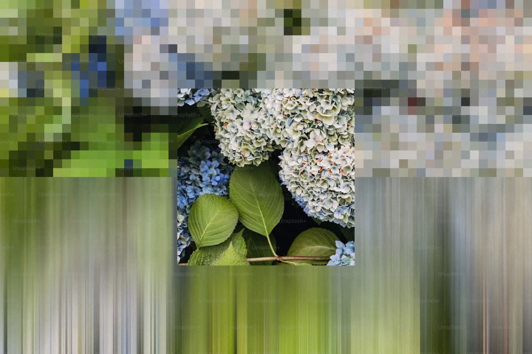 黄一鸣自曝整容失败 鼻子嘴巴受影响